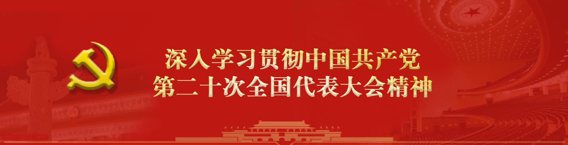 二十大专题